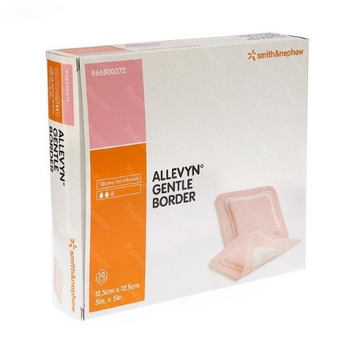 Allevyn Gentle Border Foamverband 12,5 x 12,5 cm 10 Stuks