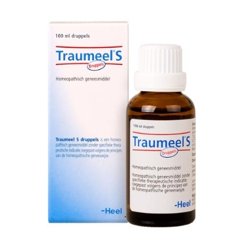 Heel traumeel S druppels 100 ml